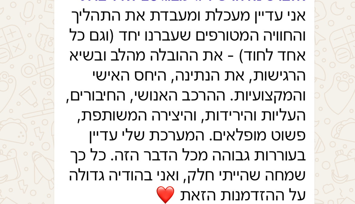 המלצה 11