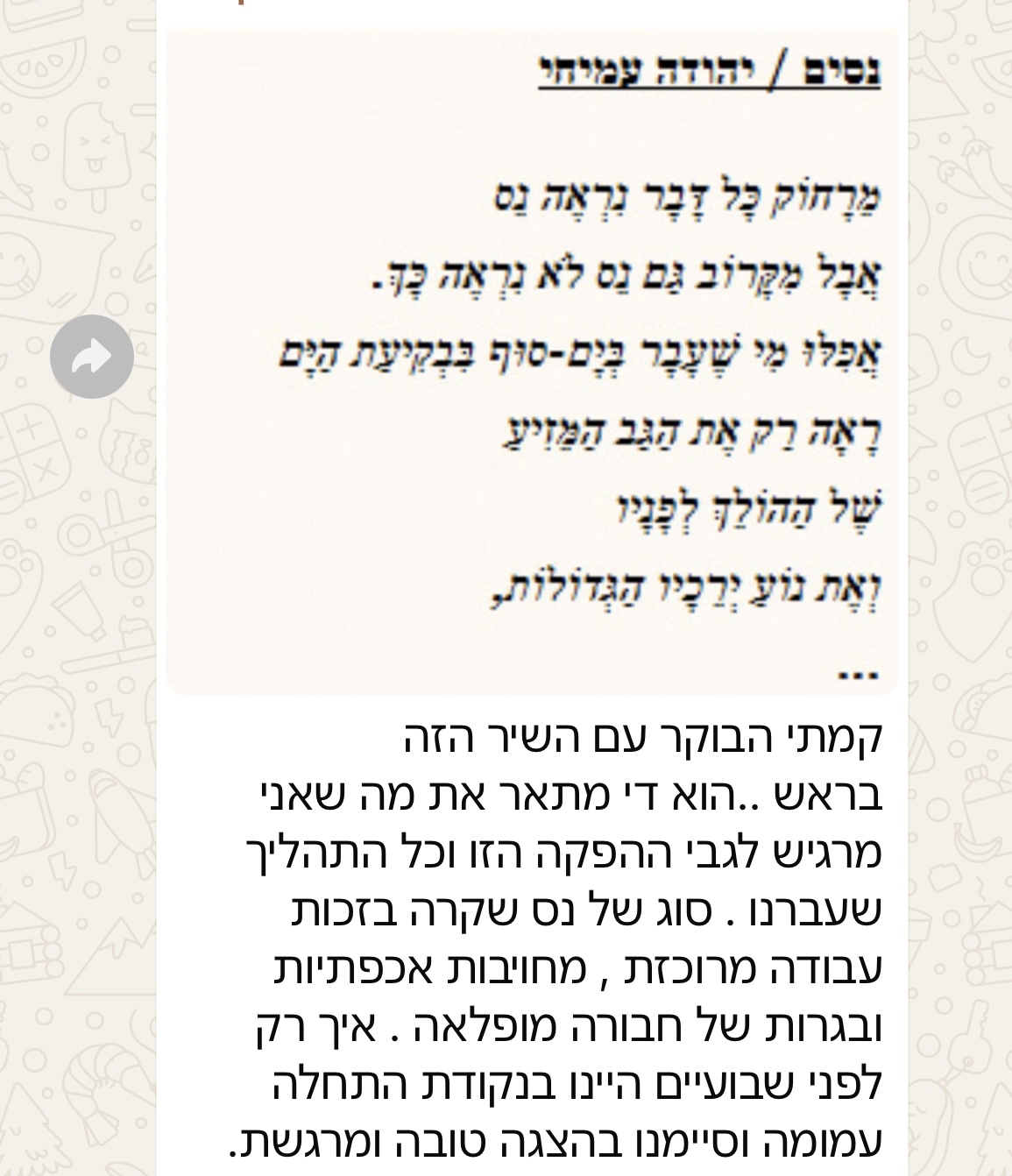 המלצה 12