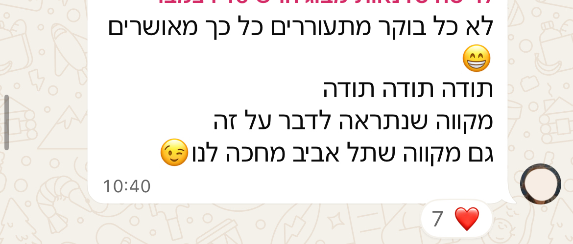המלצה 13